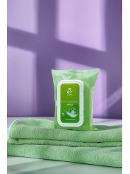 25 lingettes Lingettes nettoyantes pour sextoys - EasyGlide