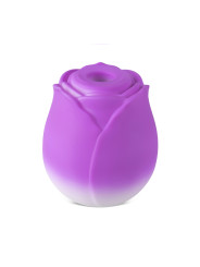 Stimulateur à aspiration et vibrations Blossom Pulse - DIK