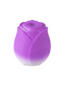 Stimulateur à aspiration et vibrations Blossom Pulse - DIK